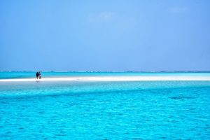 リゾートバイトでいきなり解雇された！家に帰るお金がない。