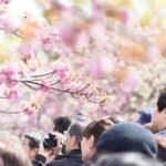 友達とお花見!場所取りってしていいの?